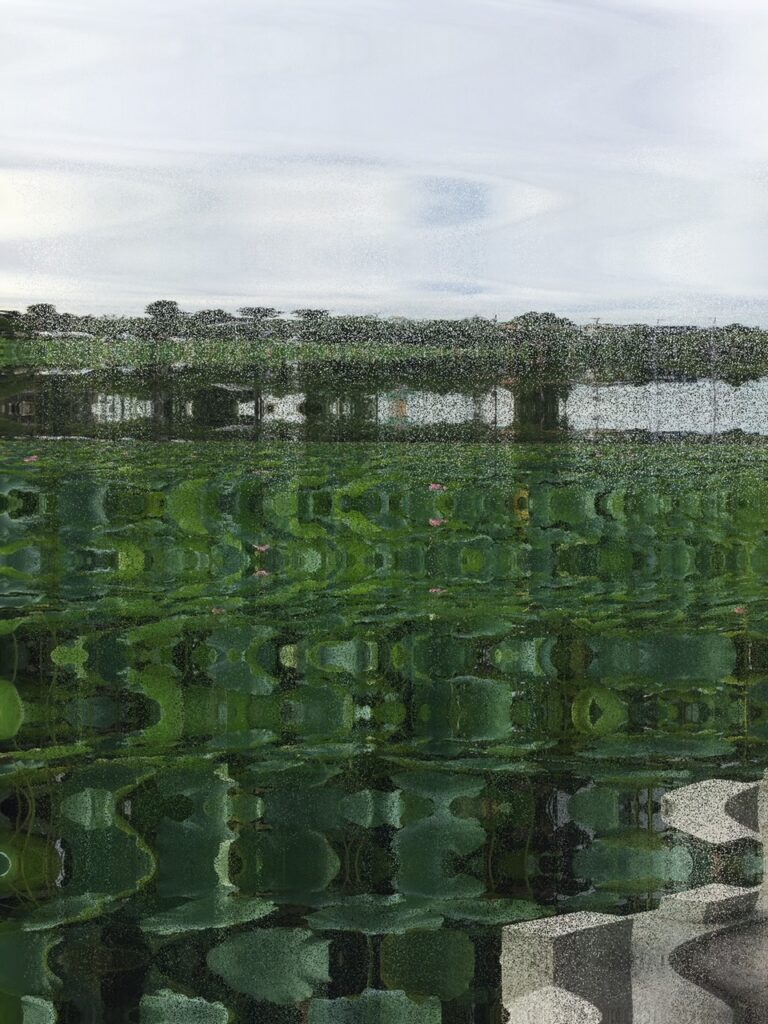 即興バンドのコノミが完全配信のみ無観客ライブを開催