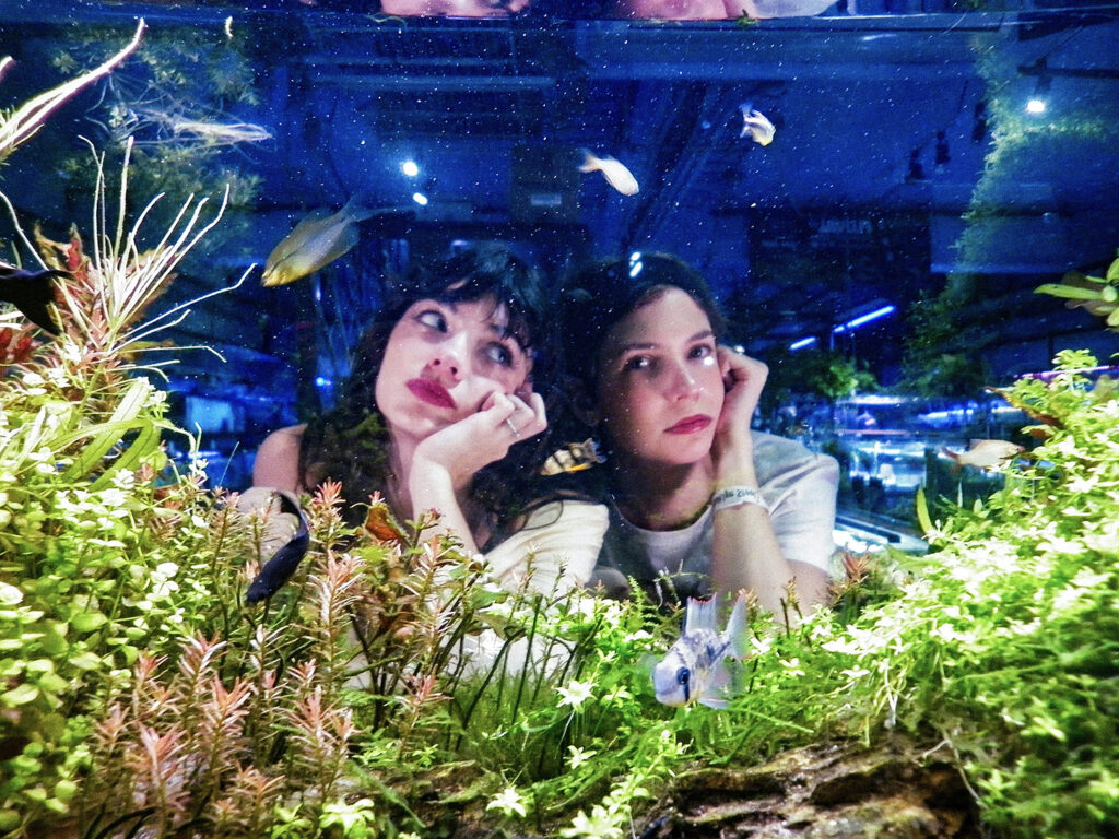 アルゼンチン発のインディーロックデュオPACIFICAがニューシングル「Fixer Upper」をリリース、同時にMVを公開